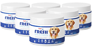 Fresh Breathies limited offer